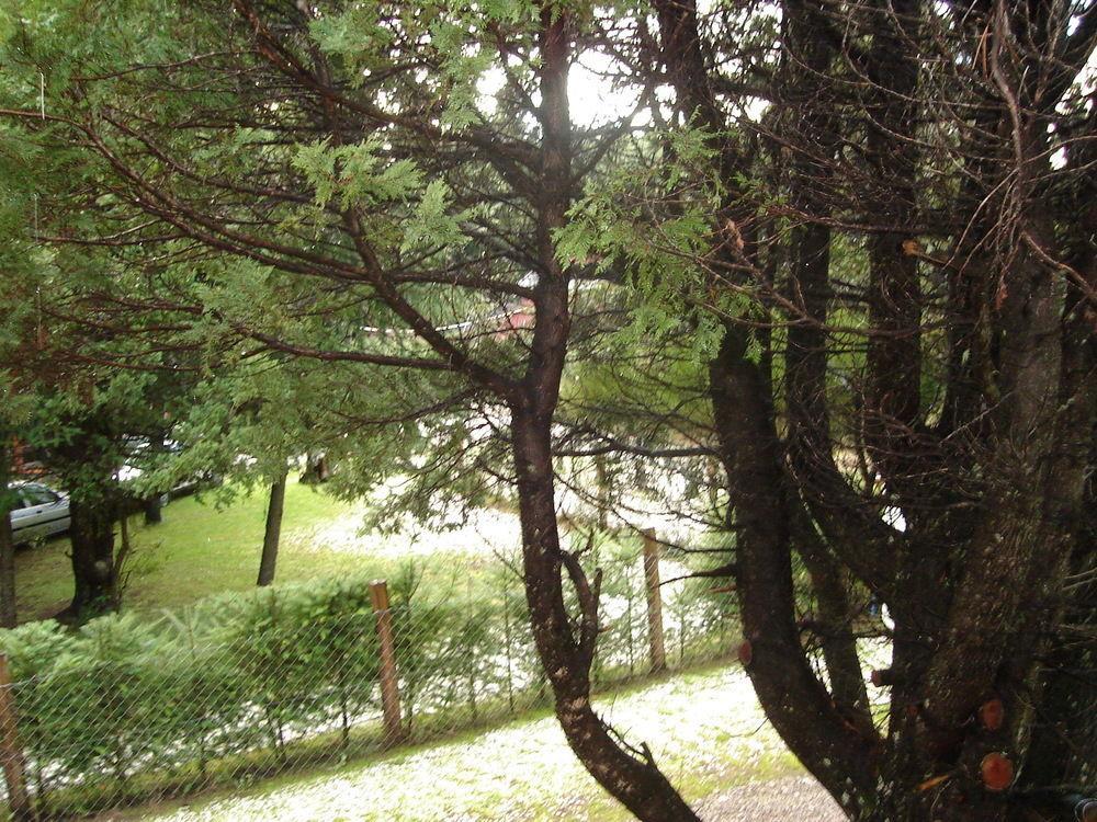 Tinsel'S House Villa San Carlos de Bariloche Kültér fotó